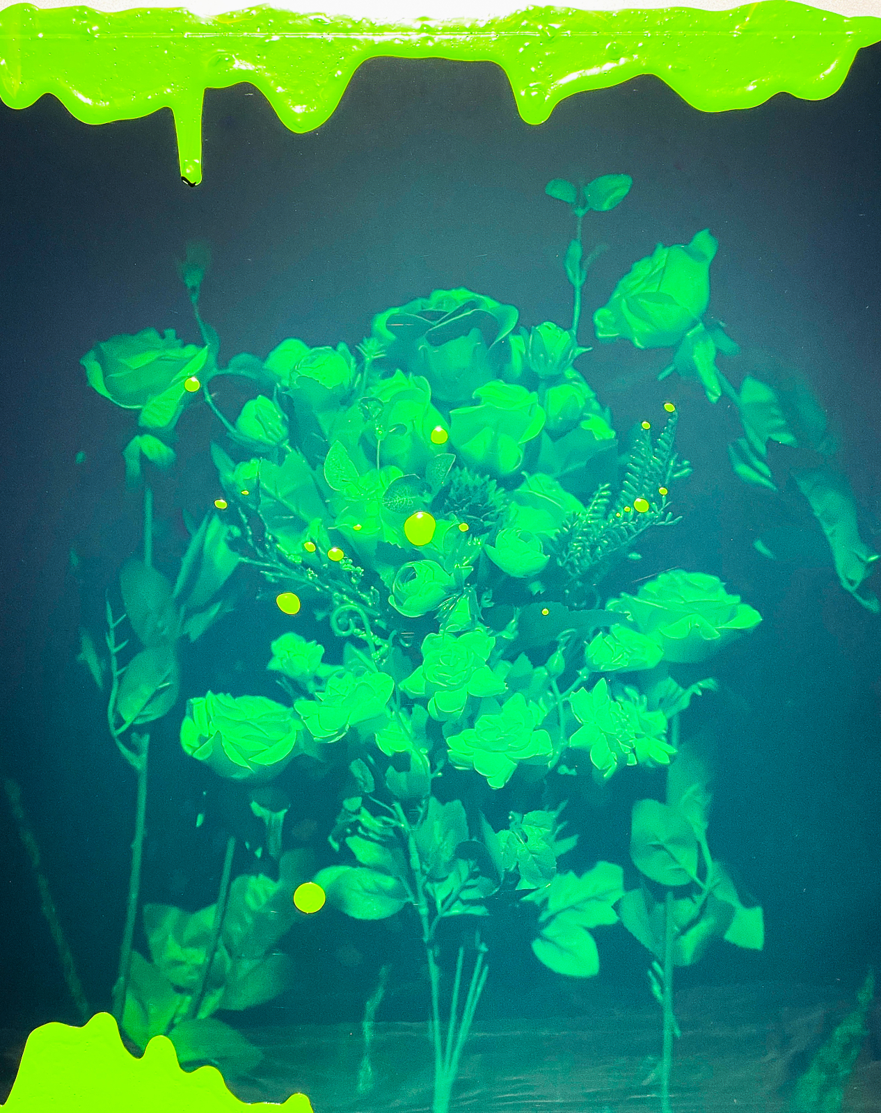 1Layer 2023optical Holography 40cm X 50cm 1
